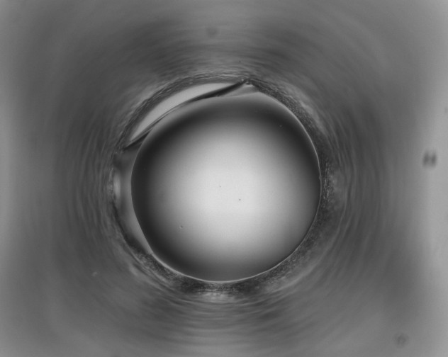 X0000097910596200803141420