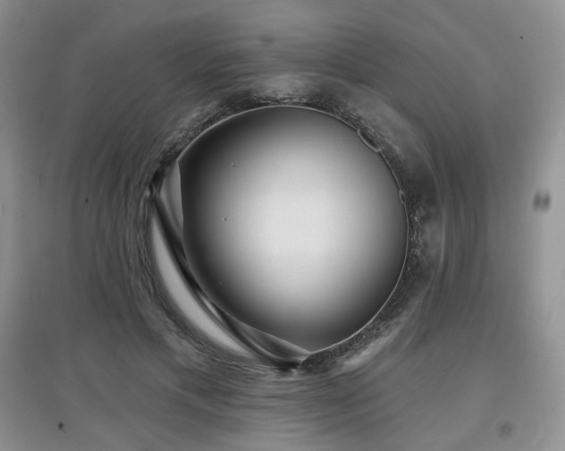 X0000097910597200803141420