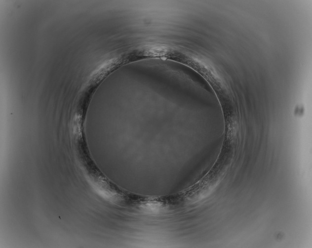 X0000097910598200803141420