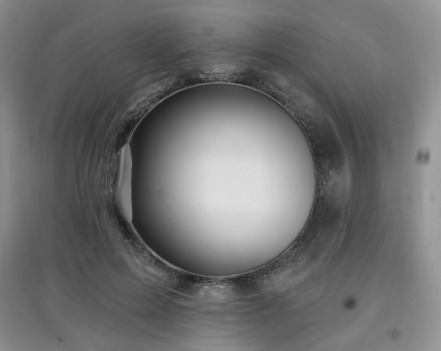 X0000097910599200803141420