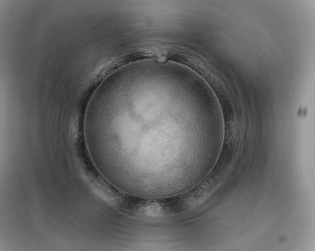 X0000097910600200803141420