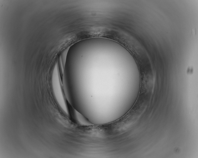 X0000097910601200803141420