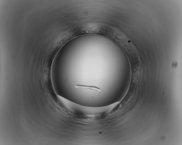 X0000097910604200803141420