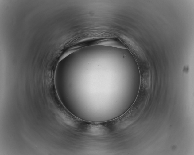 X0000097910605200803141420