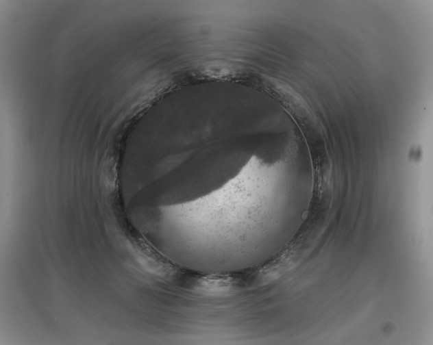 X0000097910606200803141420