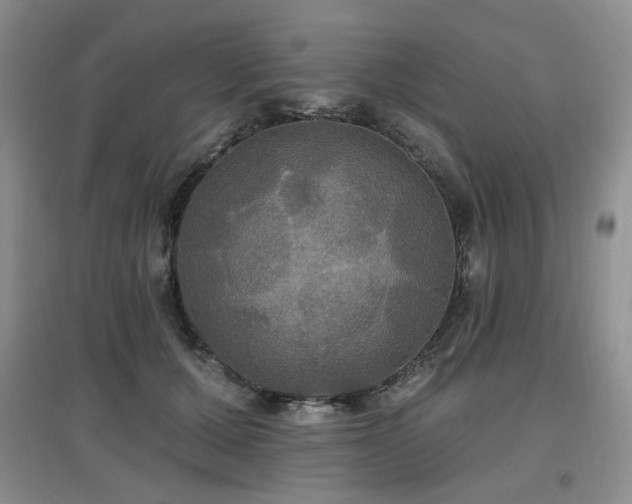 X0000097910607200803141420