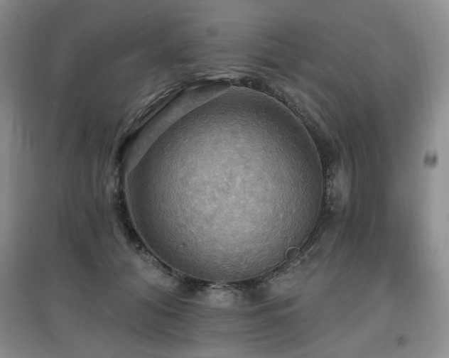 X0000097910608200803141420