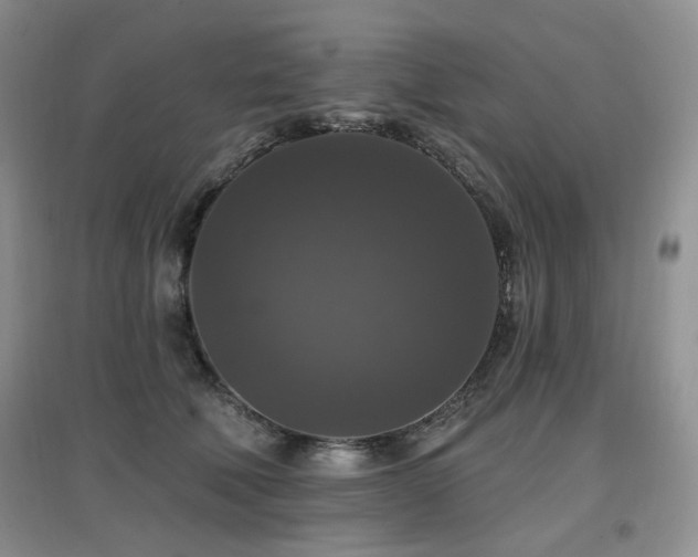 X0000097910610200803141420