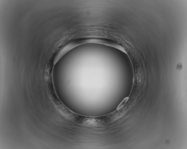 X0000097910611200803141420