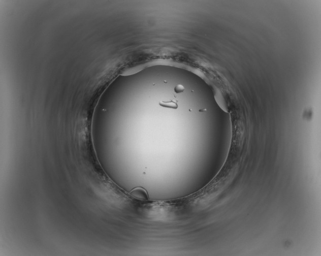 X0000097910612200803141420