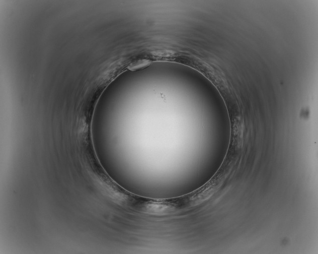 X0000097910614200803141420