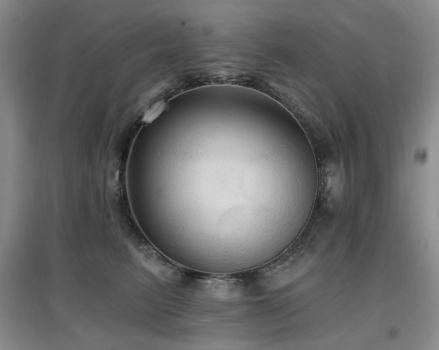 X0000097910615200803141420