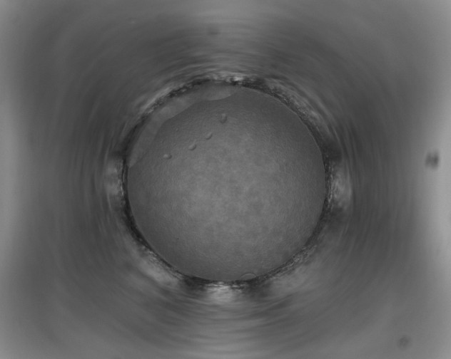 X0000097910616200803141420