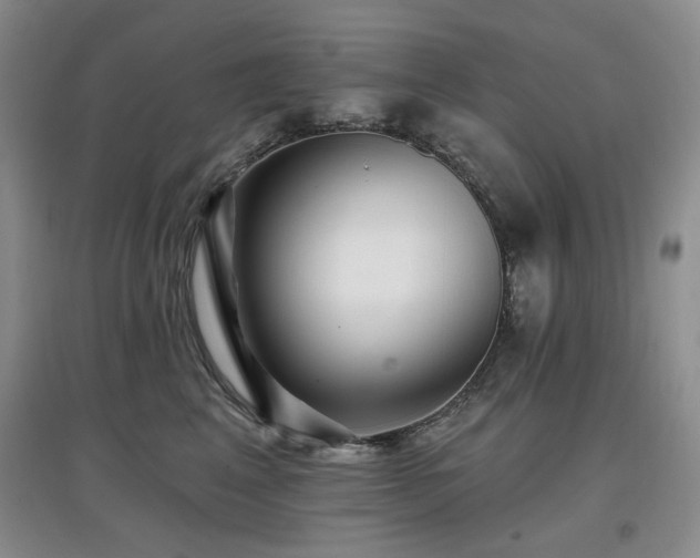 X0000097910617200803141420