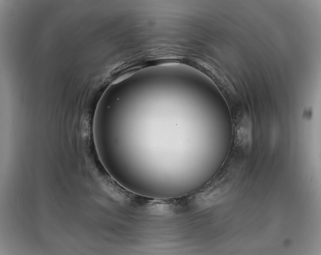 X0000097910620200803141420