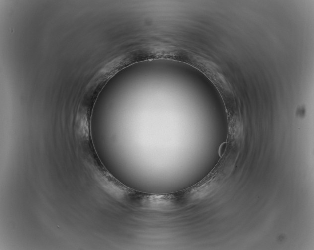 X0000097910622200803141420