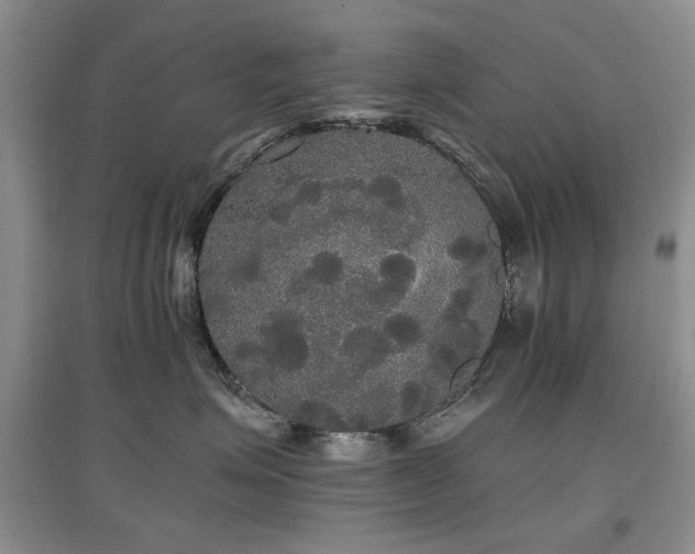 X0000097910623200803141420