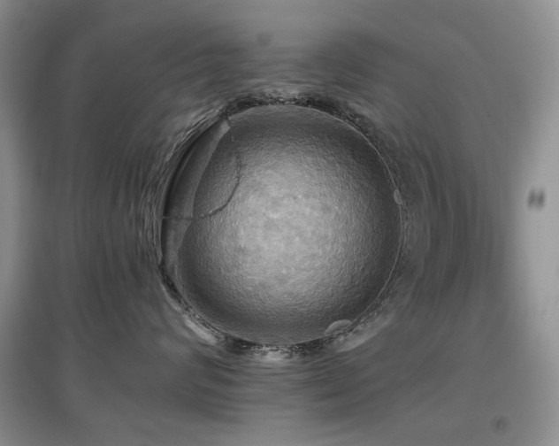 X0000097910624200803141420