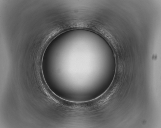 X0000097910625200803141419