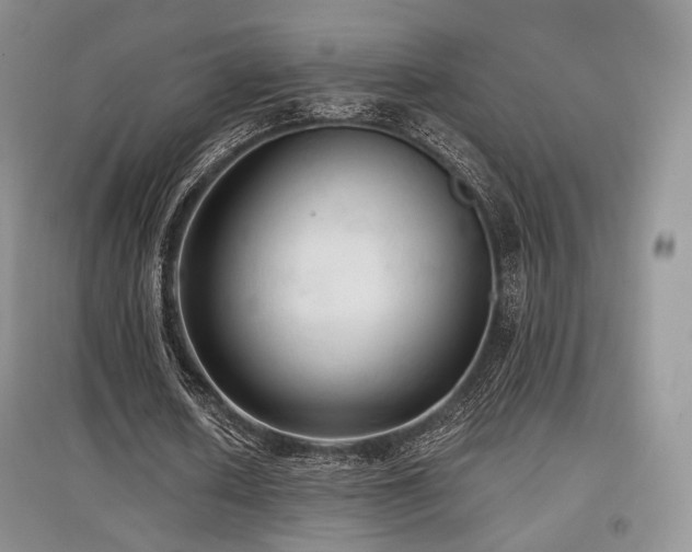 X0000097910626200803141419