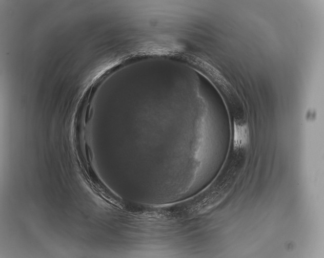 X0000097910627200803141419