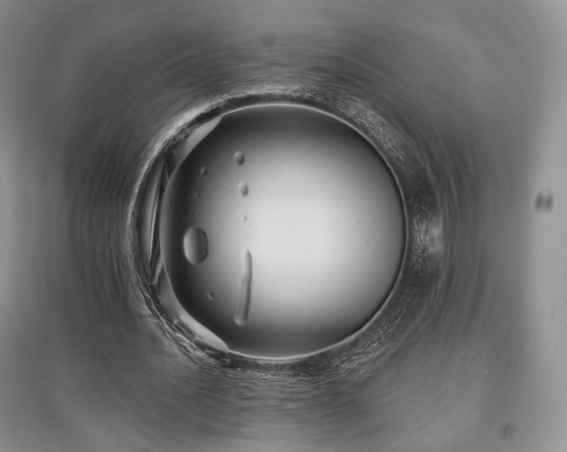 X0000097910628200803141419