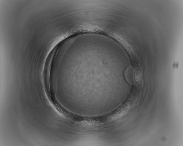 X0000097910630200803141419