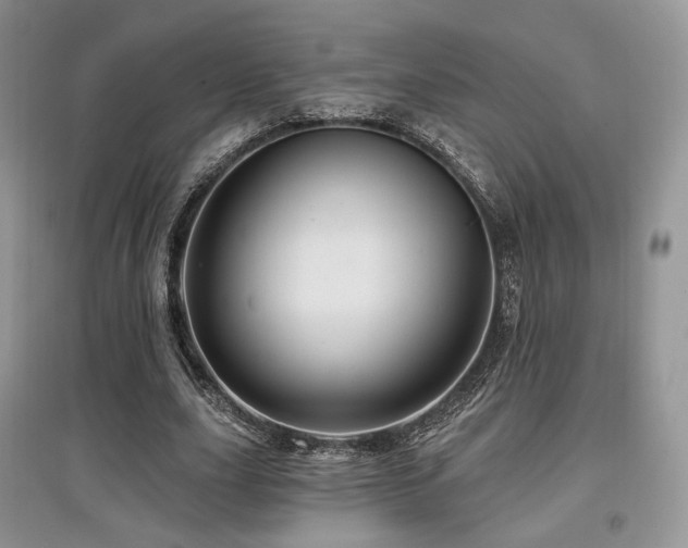 X0000097910631200803141419