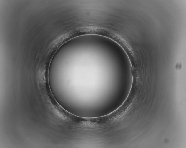 X0000097910633200803141419