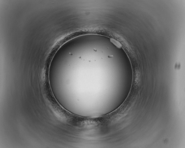 X0000097910636200803141419