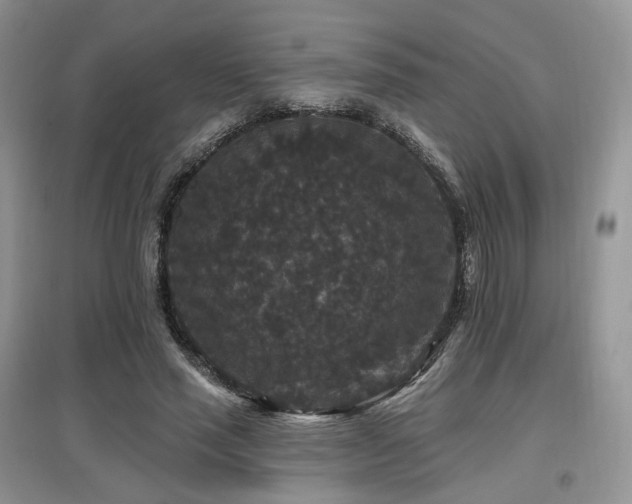 X0000097910637200803141419