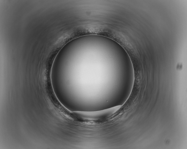 X0000097910639200803141419