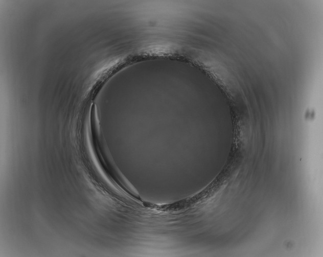 X0000097910640200803141419