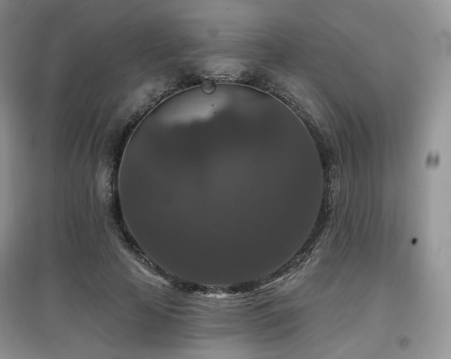 X0000097910641200803141419