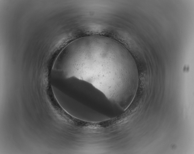 X0000097910642200803141419