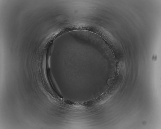 X0000097910644200803141419