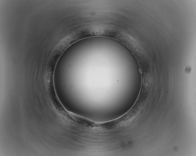 X0000097910645200803141419