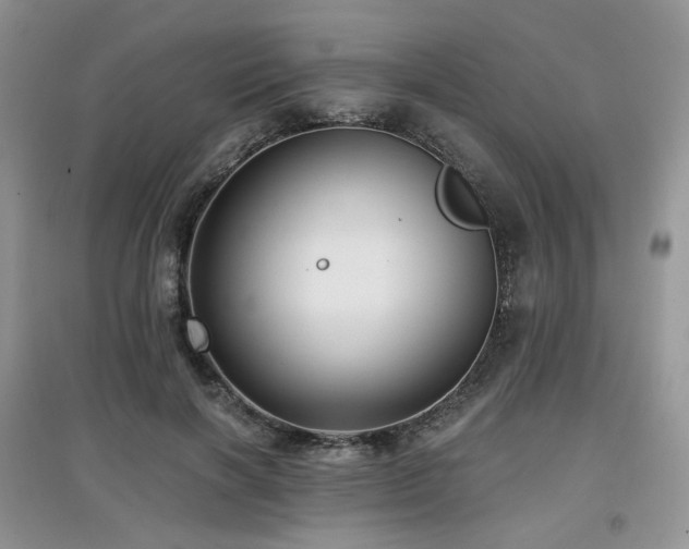 X0000097910646200803141420