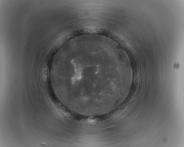 X0000097910647200803141420