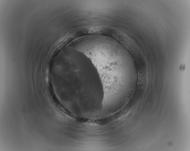 X0000097910648200803141420