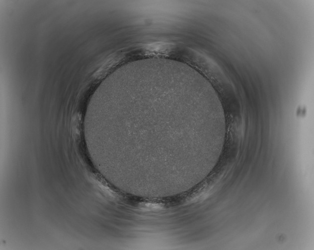 X0000097910649200803141420