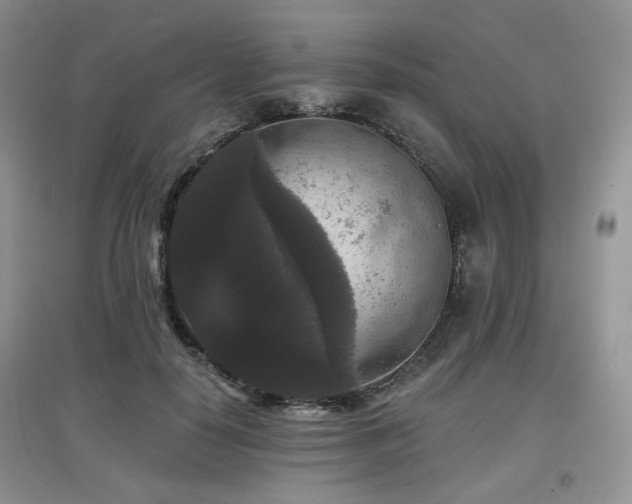 X0000097910650200803141420