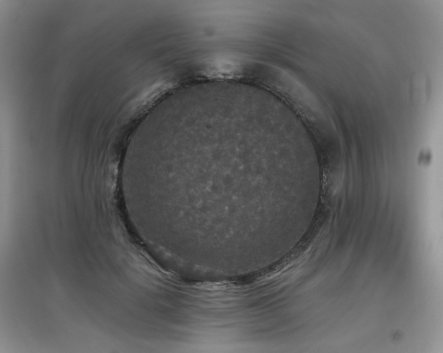 X0000097910652200803141420