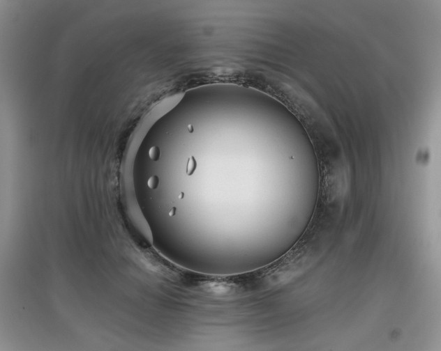 X0000097910654200803141420