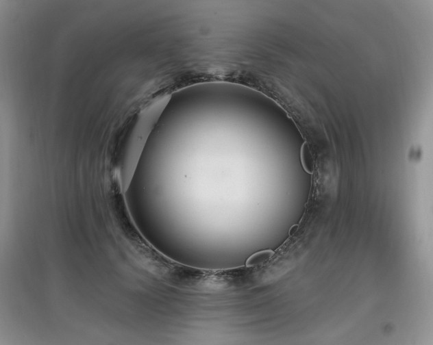 X0000097910656200803141420