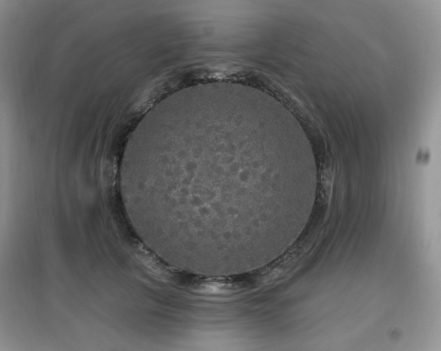 X0000097910657200803141420