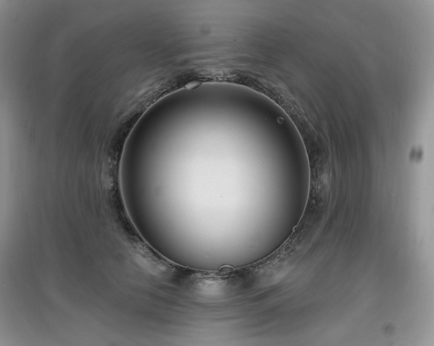 X0000097910658200803141420