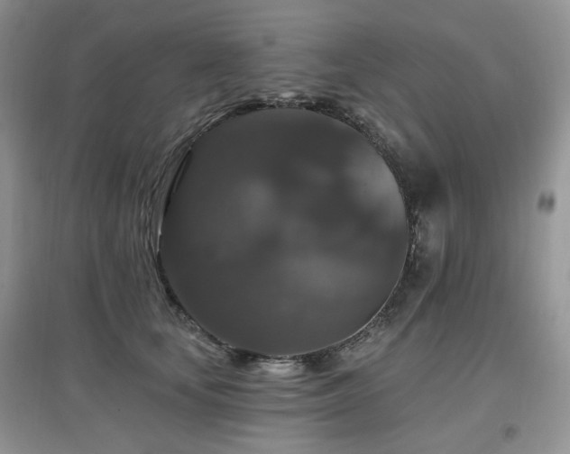 X0000097910659200803141420