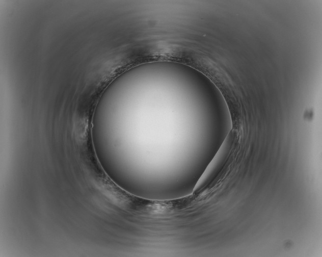 X0000097910660200803141420