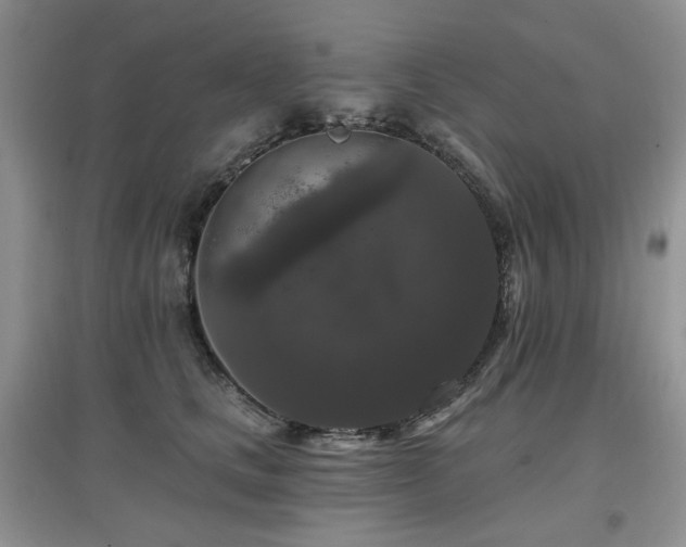 X0000097910661200803141420